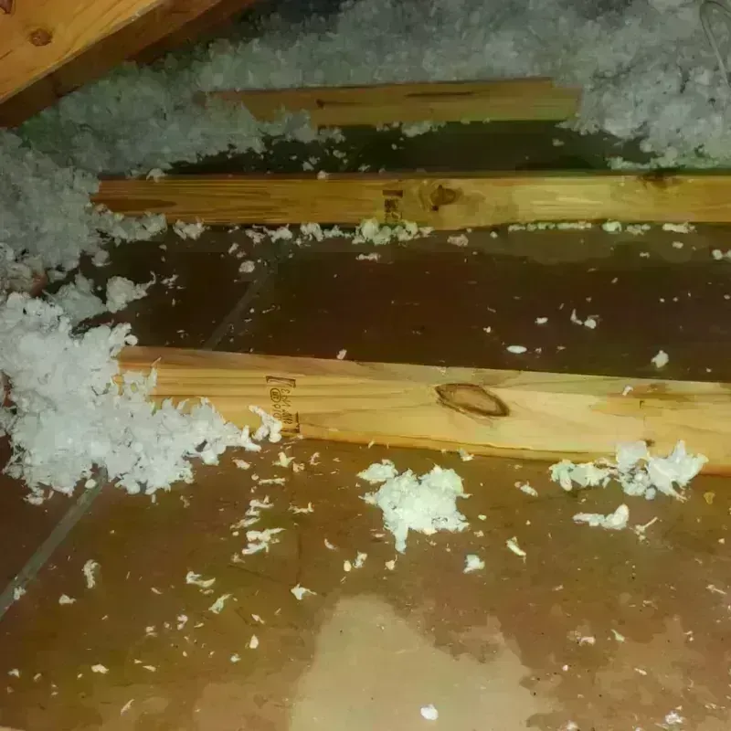 Attic Water Damage in Fort Washington, PA